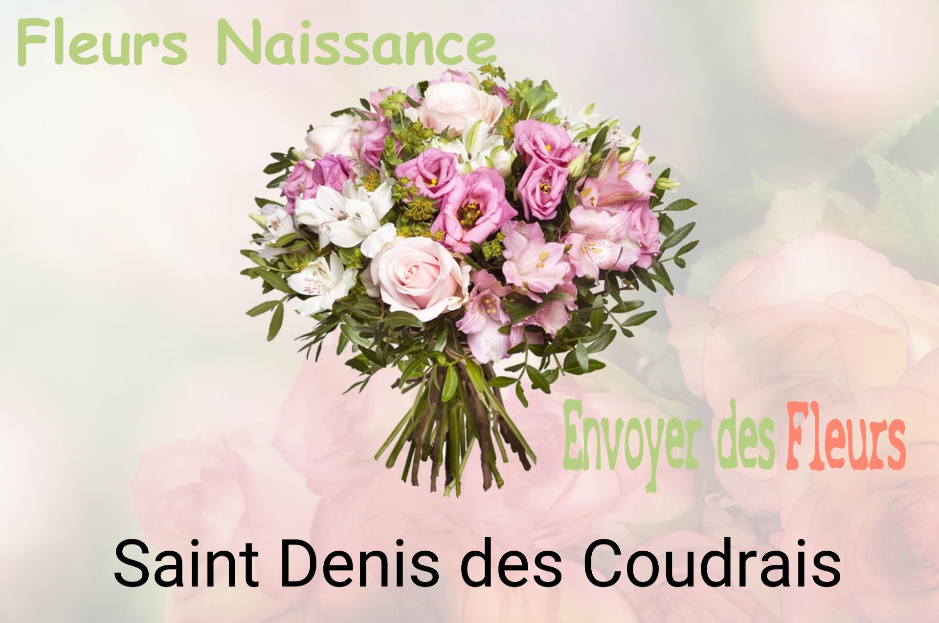 Bouquet de fleurs de naissance livré à Saint-Denis-des-Coudrais