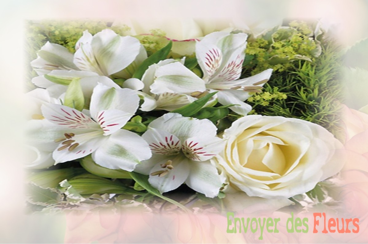 envoyer des fleurs à à SAINT-DENIS-DES-COUDRAIS